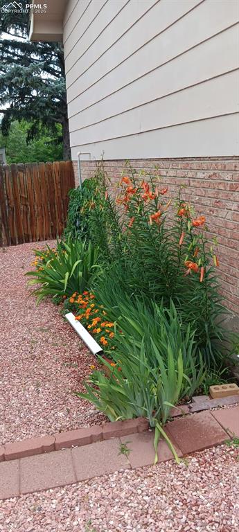 Spring/Summer Flowers