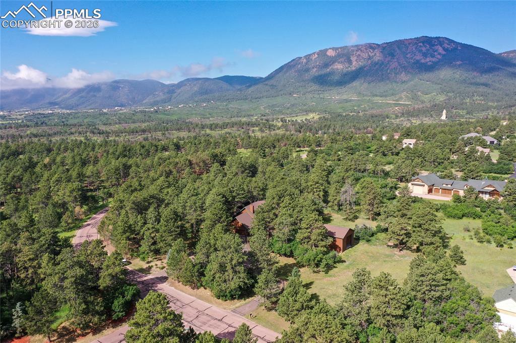 17220 Shiloh Pines Drive photo 3