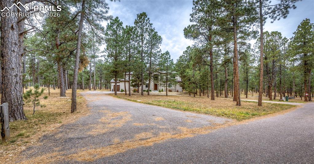 10916 Silver Mountain Point photo 3