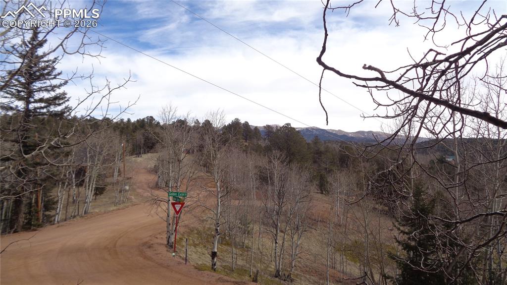 1548 Golden Cycle Circle photo 2