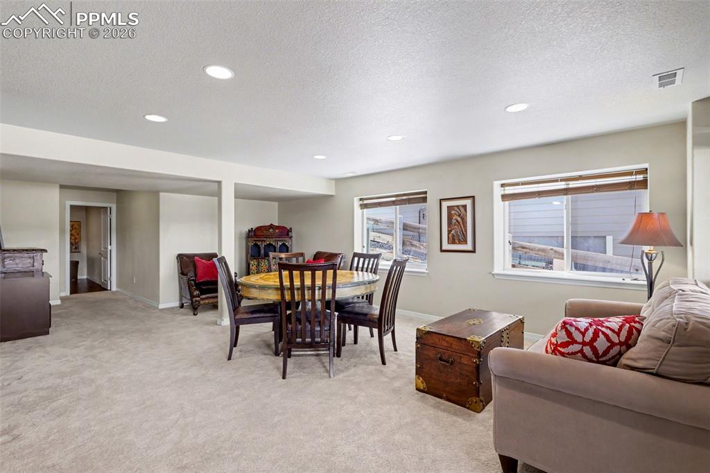 Lower level Spacious family room with a walkout to backyard