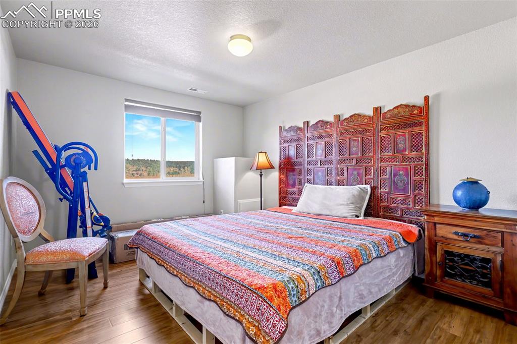 Lower level bedroom with walk in closet