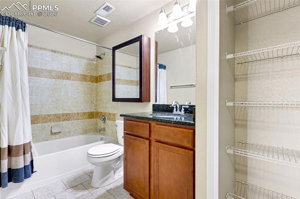 Lower level full bathroom