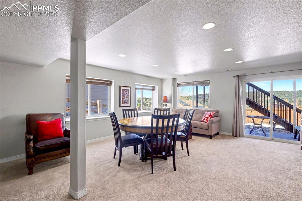 Lower level family room