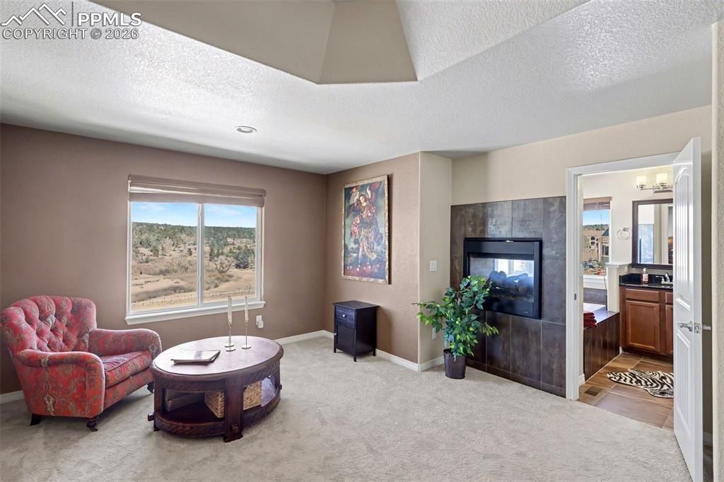 Relax in your sitting area with fireplace in the primary bedroom