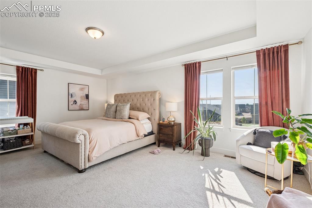 Bedroom featuring carpet and a raised ceiling