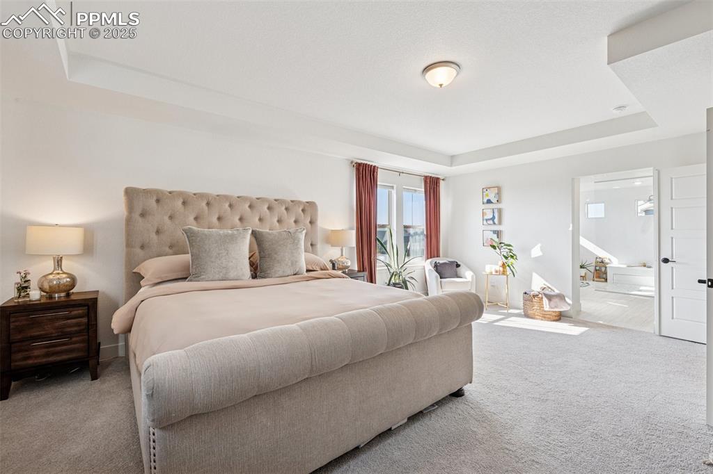 Carpeted bedroom featuring a tray ceiling