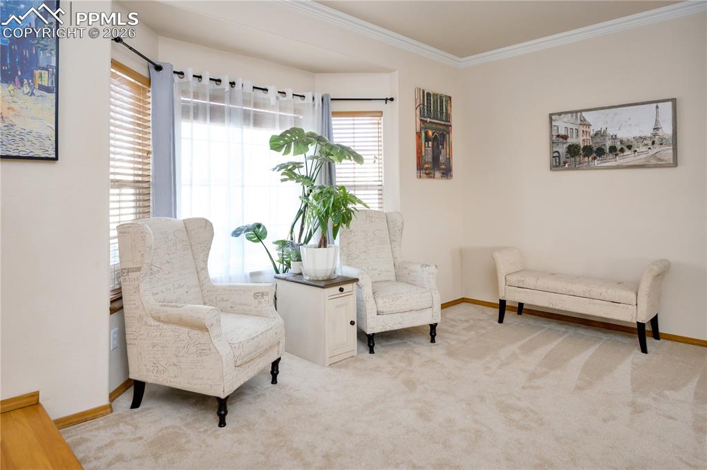 7453 Amberly Drive photo 2