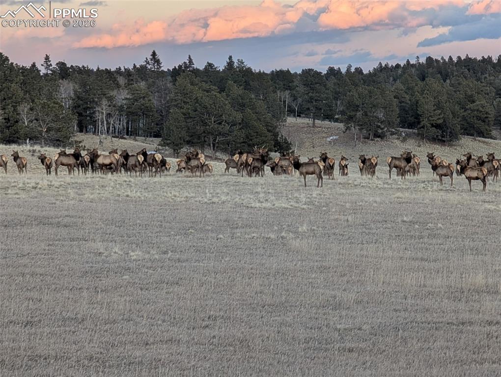 284 County Road 511 Road photo 3