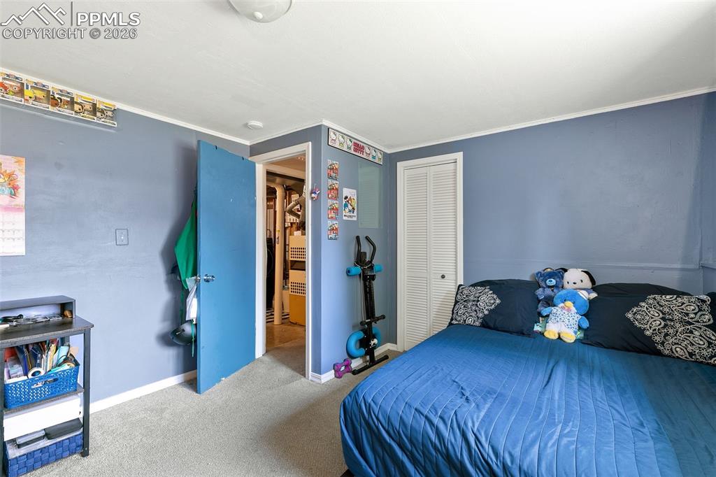 Carpeted bedroom with a closet and crown molding