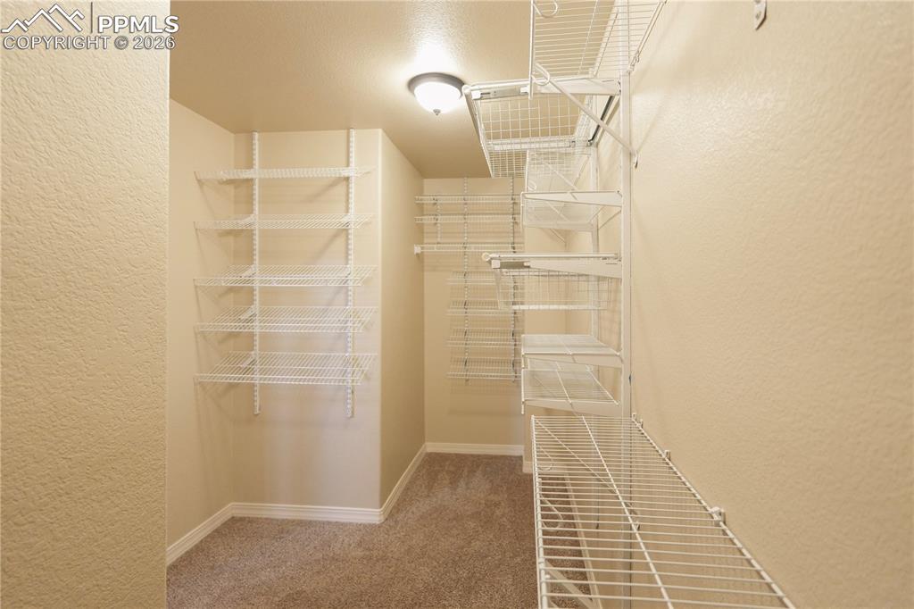 Walk in closet featuring light colored carpet