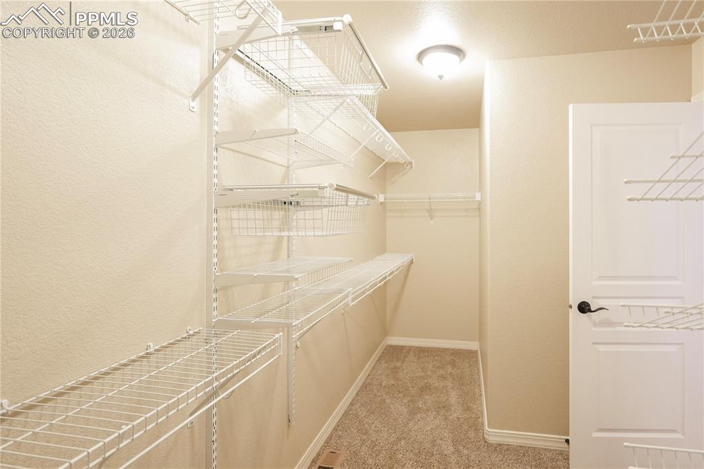 Walk in closet with light carpet