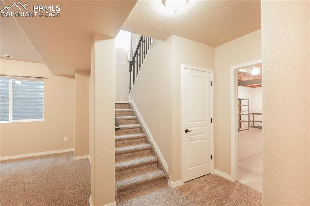 Stairway with carpet flooring and baseboards