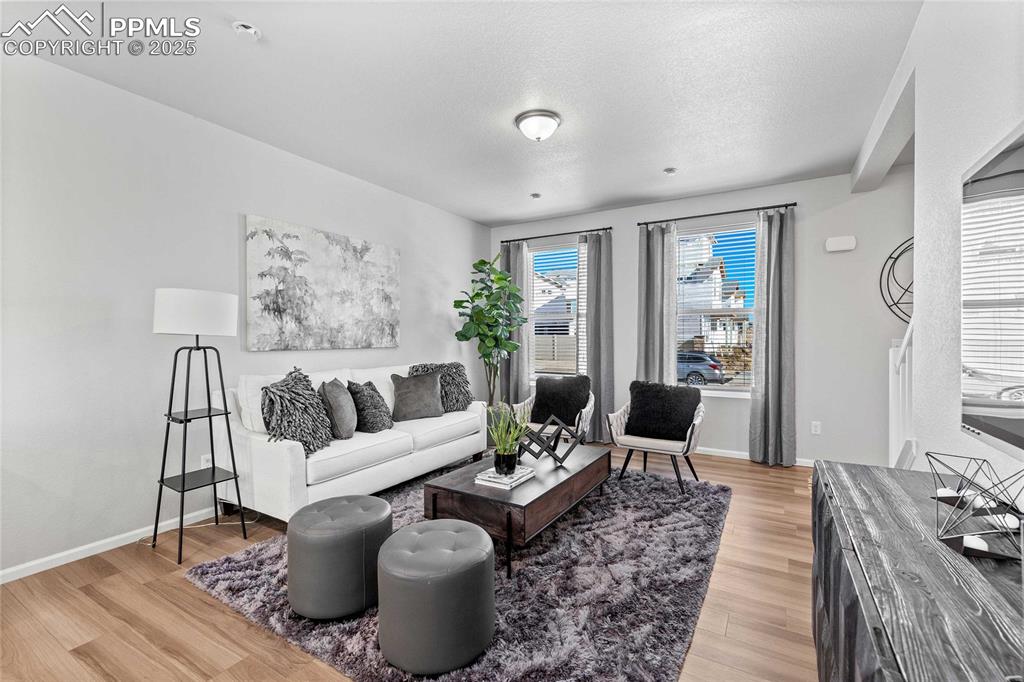 9361 Twin Sisters Drive photo 3