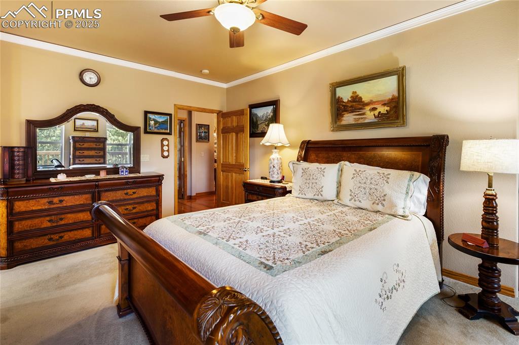The main bedroom features light carpet, crown molding, and a ceiling fan.