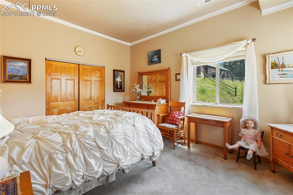 Bedroom featuring crown molding, light colored carpet, and a closet. 