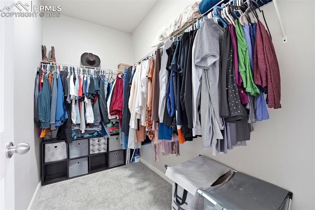 Walk in closet featuring carpet flooring
