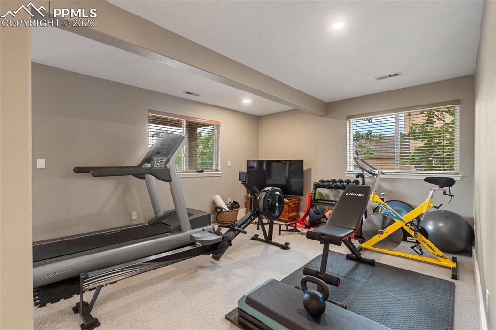 Media/Home Theater room in basement, 10 foot ceiling, Commercial grade treadmill included
