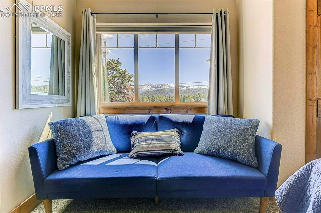 Views of Pikes Peak!