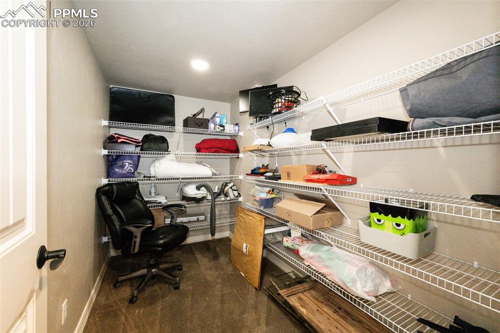 Large storage closet with shelving