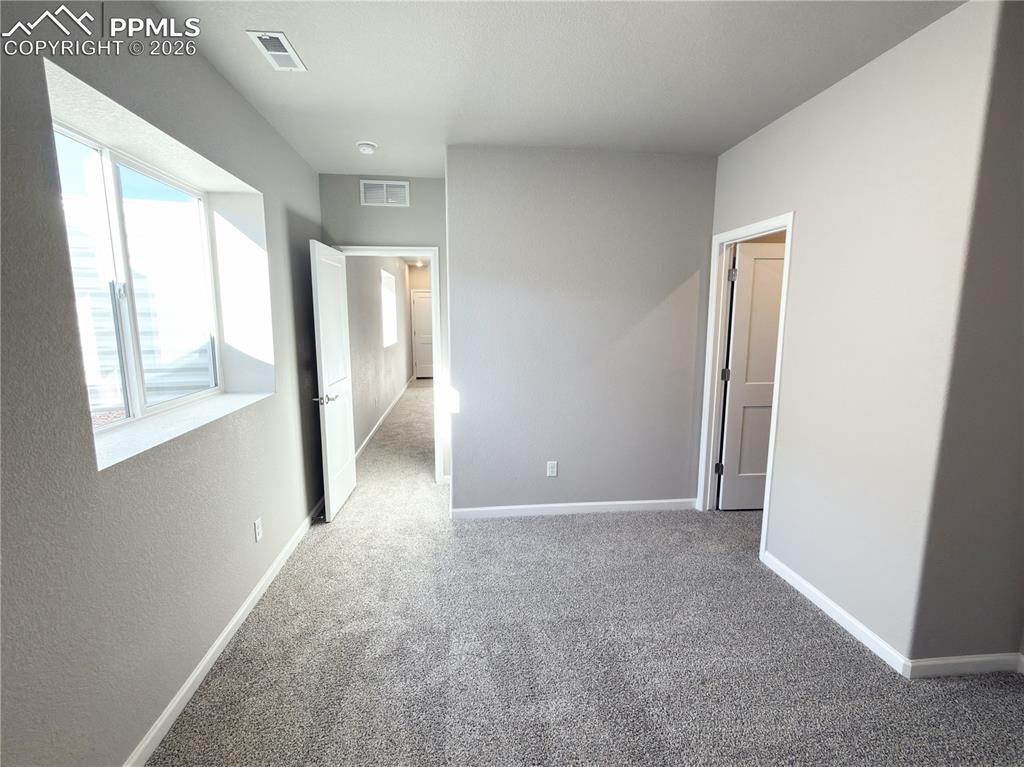 3rd Bedroom, located on the Lower Level with Walk-in Closet!