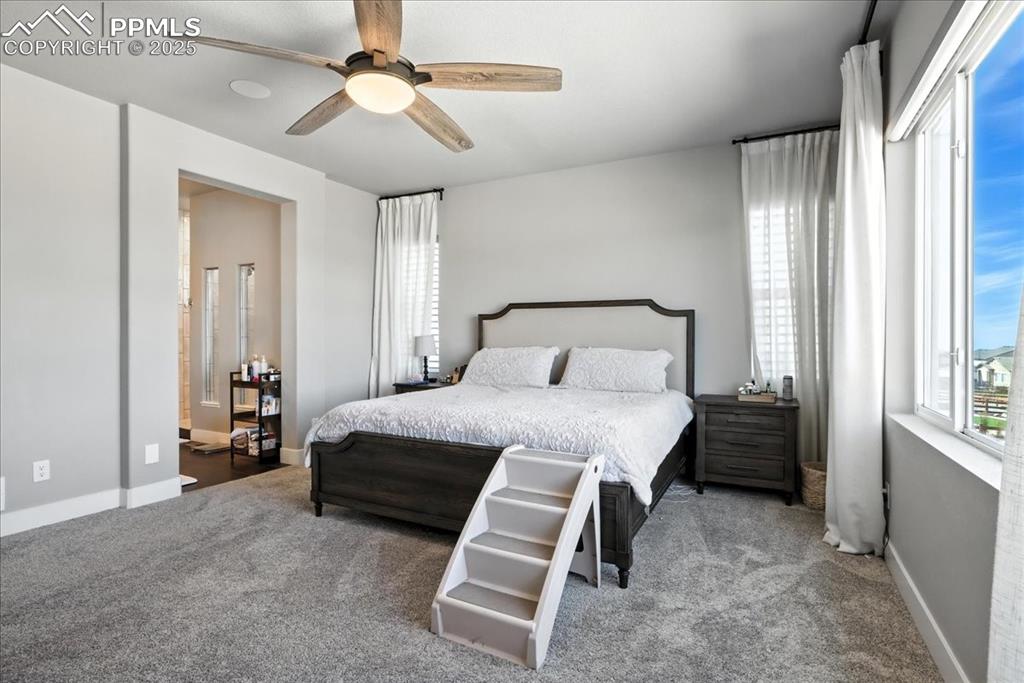 Carpeted bedroom with baseboards and a ceiling fan