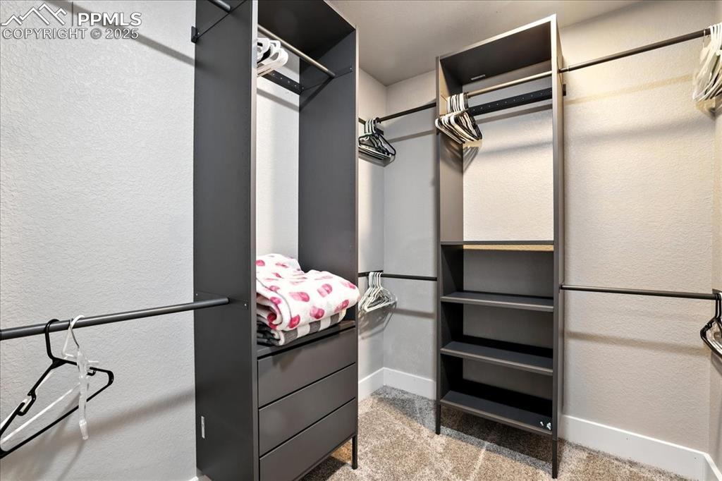 Walk in closet with carpet