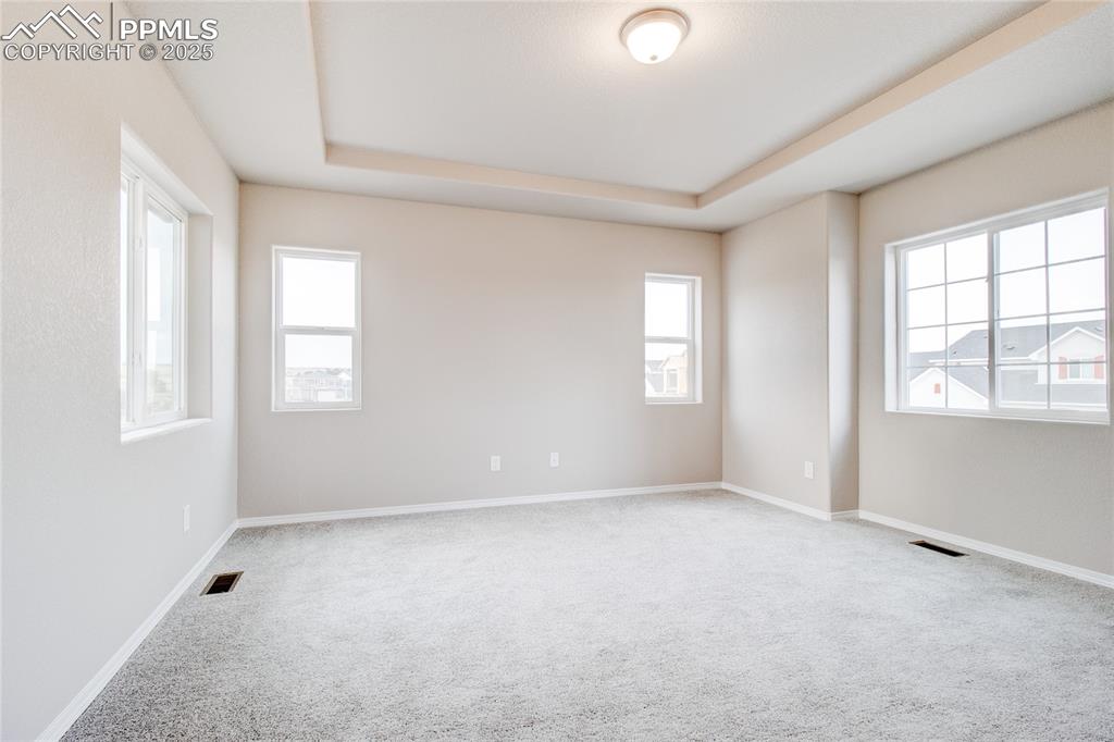 Unfurnished room featuring carpet flooring and a tray ceiling
