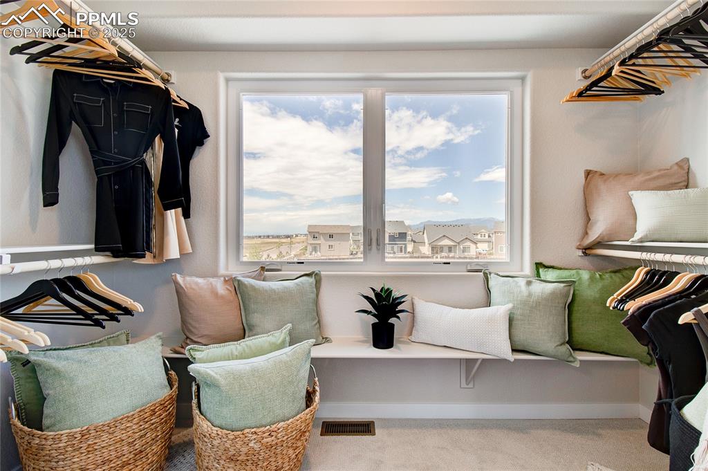 Spacious closet featuring light colored carpet