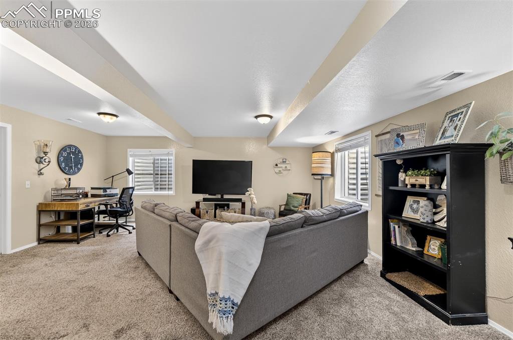 Large Family Room in the Basement