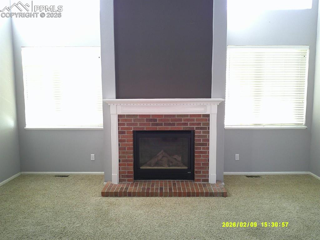 Detailed view of carpet flooring and a fireplace with raised hearth
