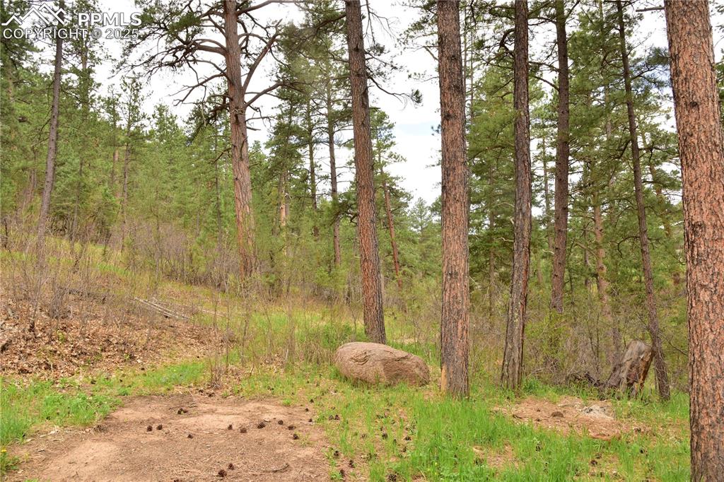 View of wooded area