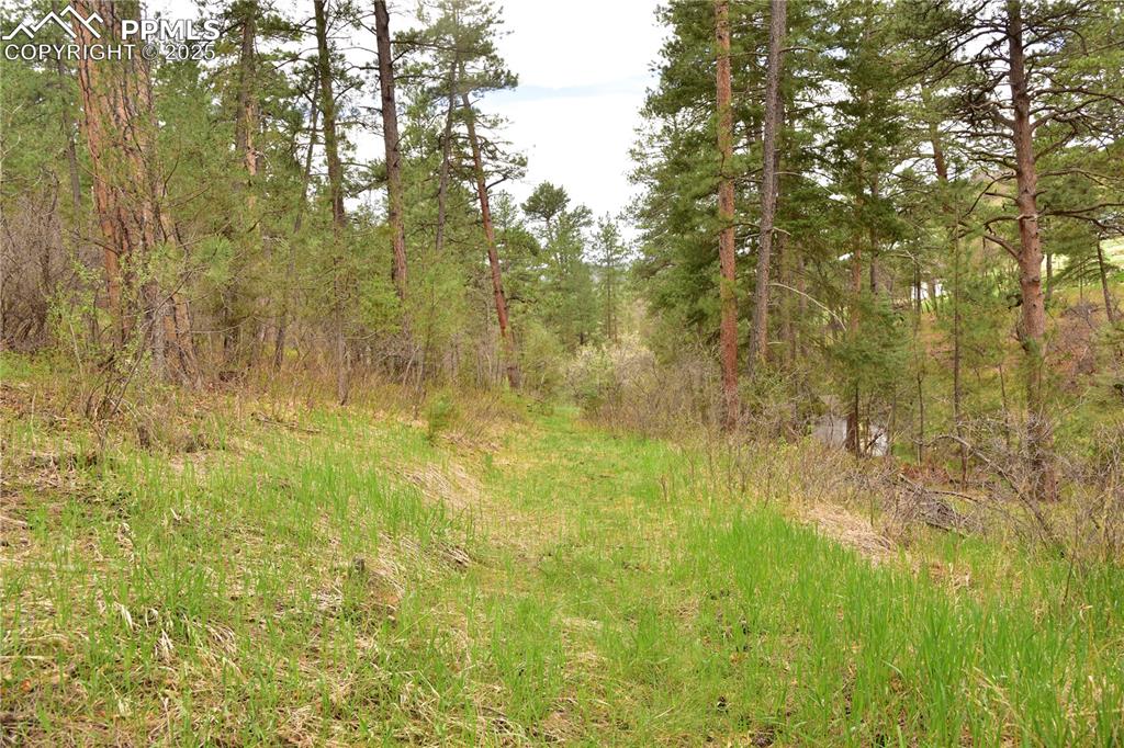 View of undeveloped land