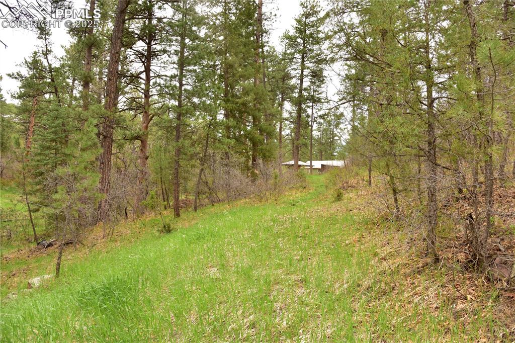 View of yard featuring a wooded view