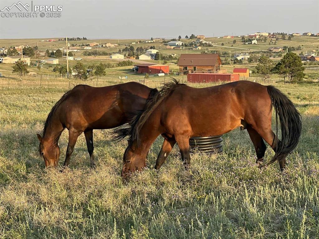 Horse barn featuring a view of rural / pastoral area