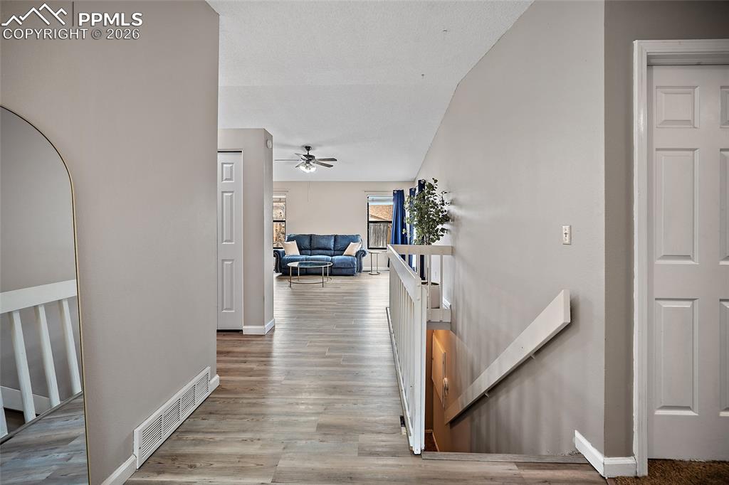 295 Fleming Street photo 2