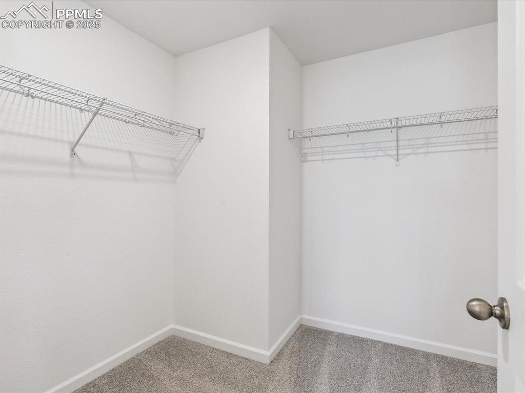 7894 Rainy Creek Trail