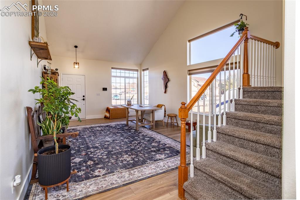 8029 Ravenel Drive photo 3