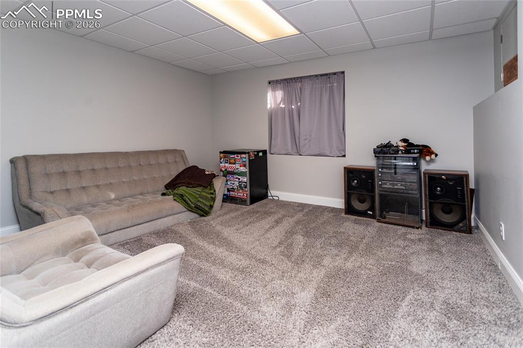 BR 4 or Office in Basement