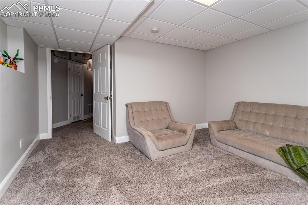 BR 4 or Office in Basement