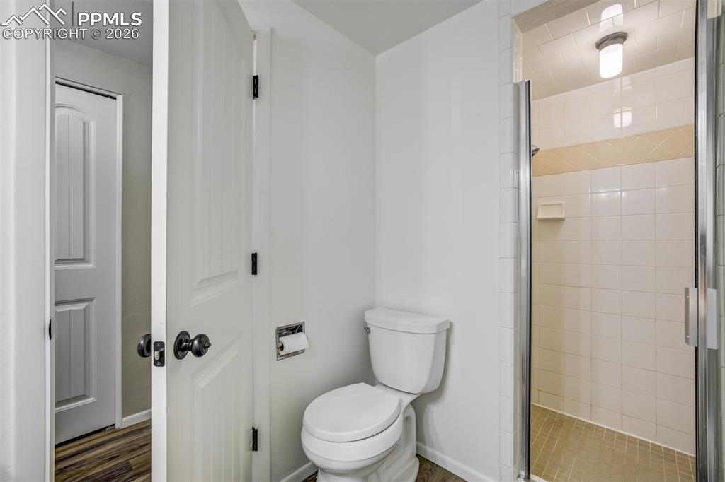 Bathroom in the lower level