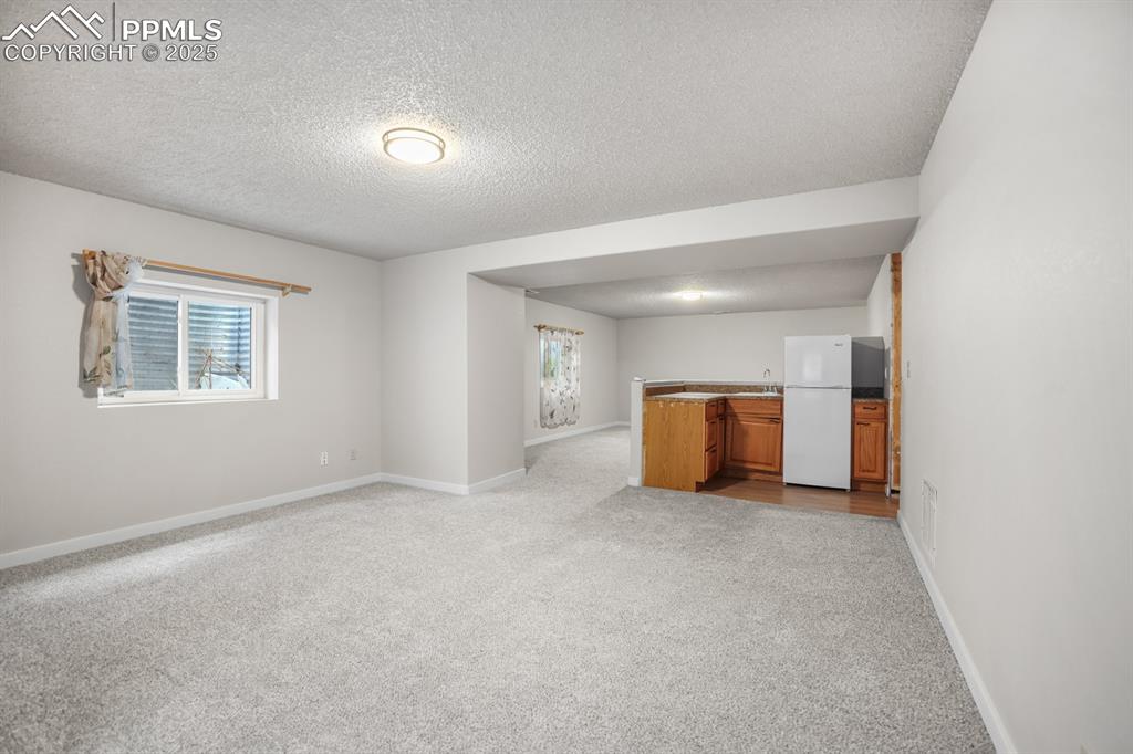 Basement Living Room