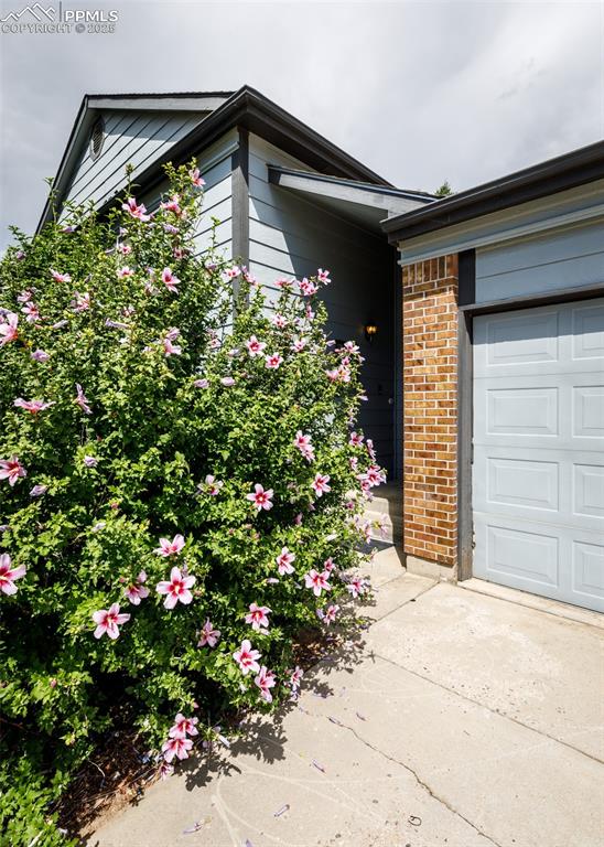 5160 Quill Drive photo 2