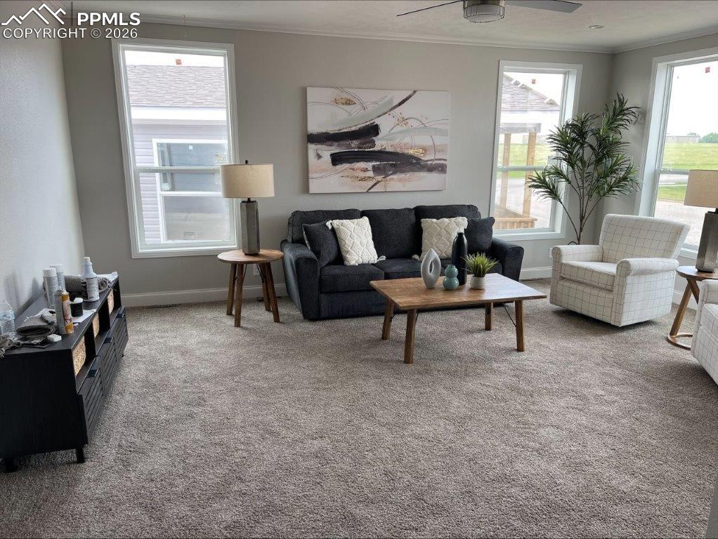 812 Iowa Avenue photo 2