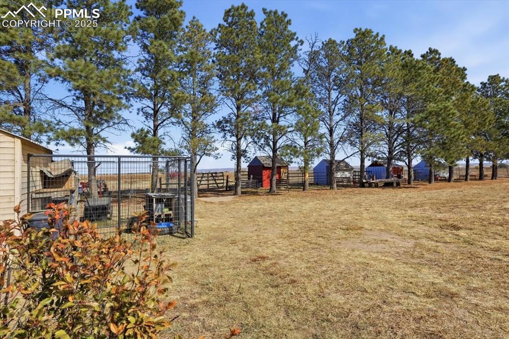 The yard before the mini shelters is tree lined with mature trees