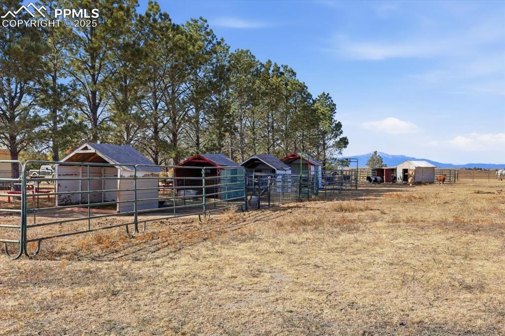 There are 4 mini shelters for mini horses or farm animals and a shed with a double lean-to inside a pasture.