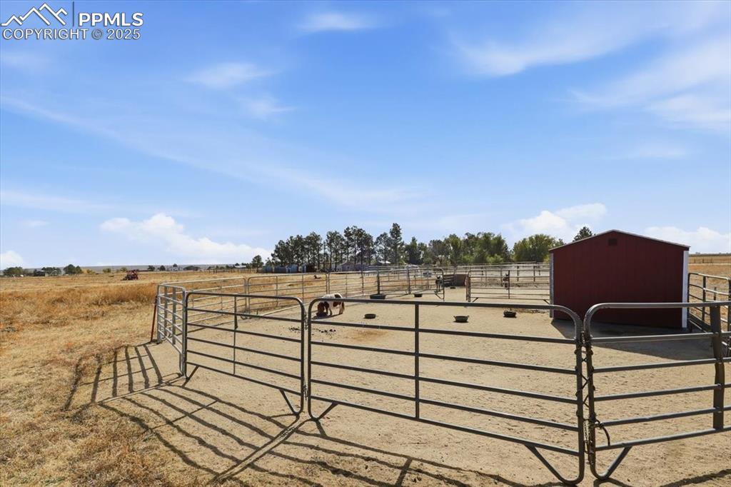 Another shelter for additional animals in the pasture