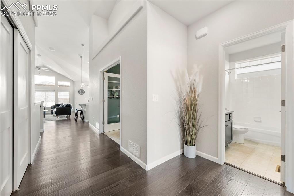 Hallway with dark wood-style floors and healthy amount of natural light
