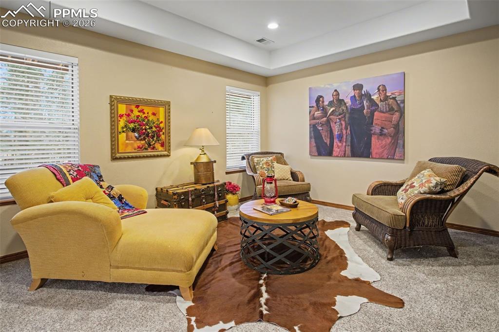 All windows are above ground and trey ceilings.