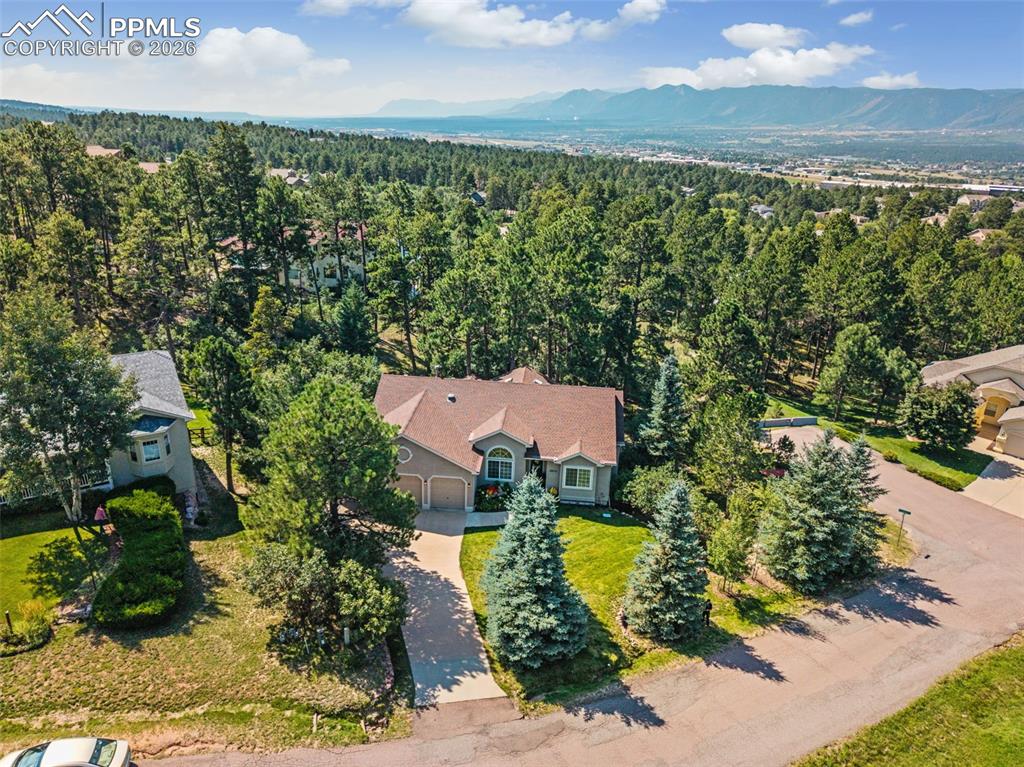 Mountain views in background can be seen through the trees